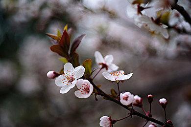 国外玩家爷爷打通《质量效应：传奇版》 30年来最好的乐子